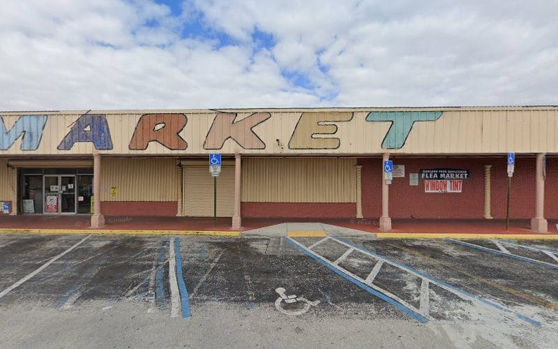 Alterations By Petina