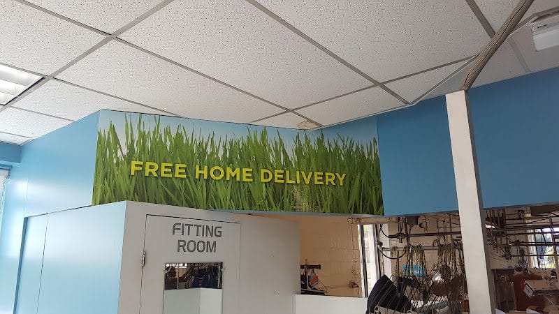 Best Cleaners