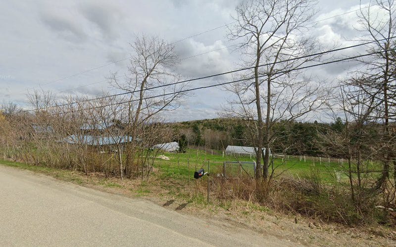 Blue Line Alterations