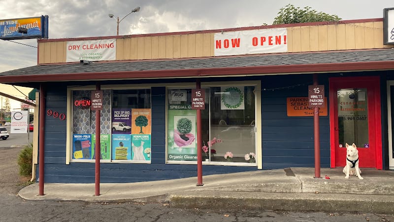 Dana’s Green Cleaners