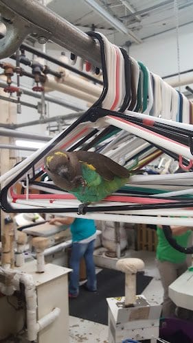 Eagle Cleaners