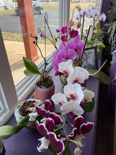 Genia’s Tailor Shop