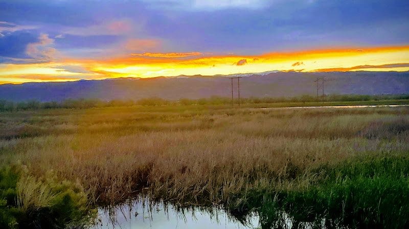 Ideal Cleaners & Tailors