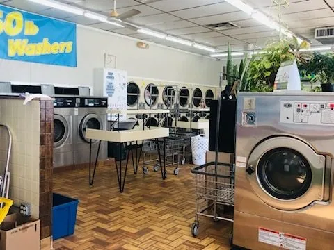Jan’s Professional Dry Cleaners – Michigan’s Premier Dry Cleaning Company