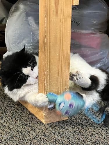 Let Er-Rip Alterations