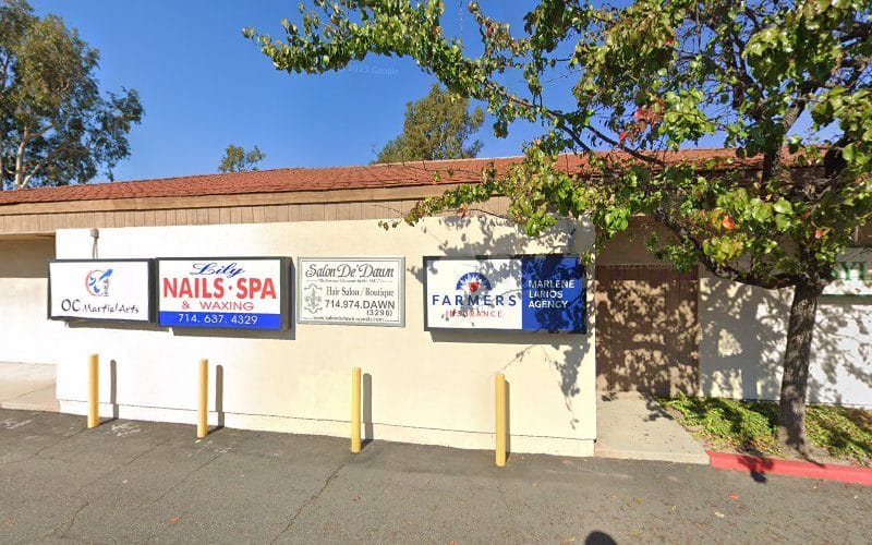 Sylvias Cleaners