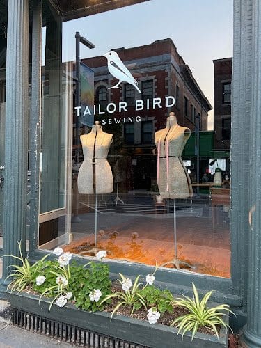 Tailor Bird Sewing