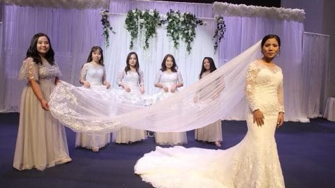 THE HOUSE OF VEILS